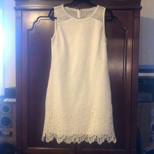 T Tahari Cream Lace shift Dress back zip with lace at bottom of dress Sz 8 R2